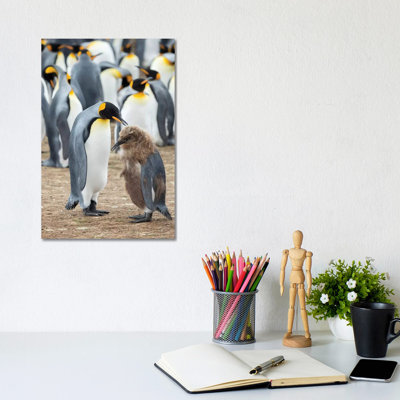 Feeding A Chick In Brown Plumage. King Penguin On Falkland Islands. by Martin Zwick - Wrapped Canvas Gallery-Wrapped Canvas Giclée