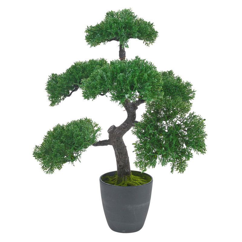 49cm Faux Bonsai Plant in Planter