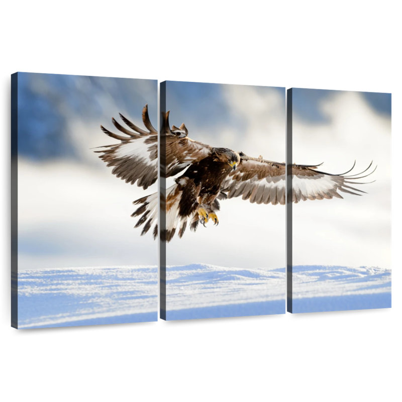 Brampt Norwegian Golden Eagle, 42" H x 65" W