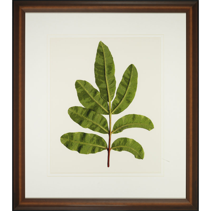 Une petite pièce de la nature I - peinture encadrée