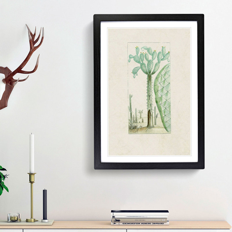 Cactus Illustration - Picture Frame Painting Print, Black Framed, 36cm H x 27cm W x 2cm D