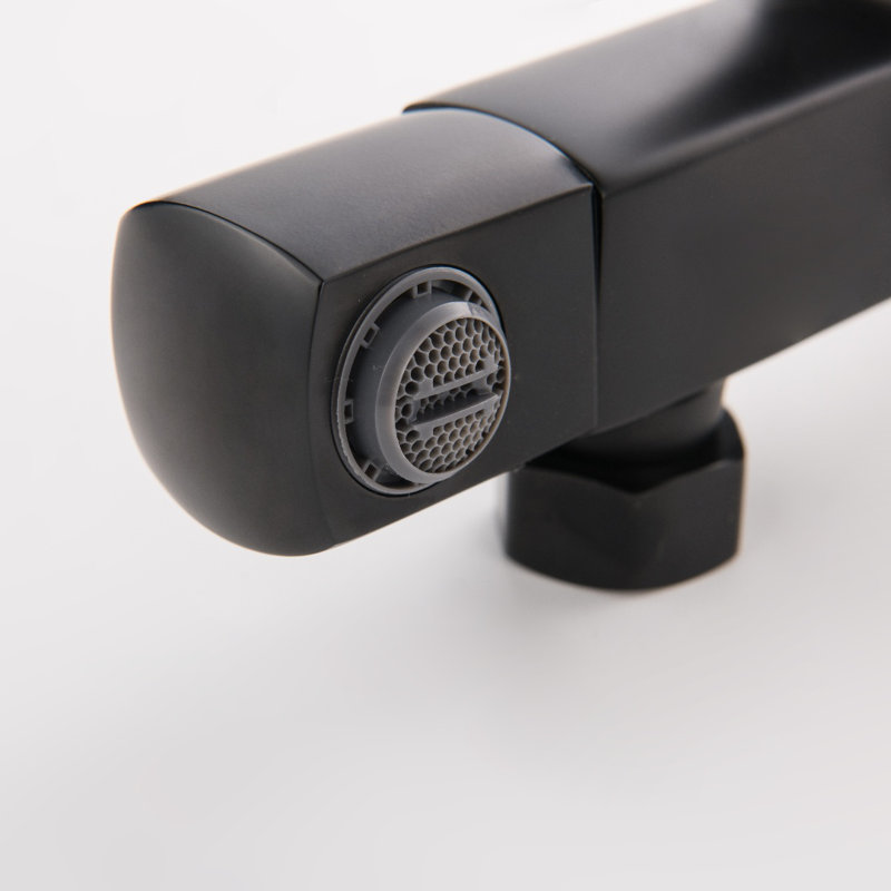 Système de douche luxueux avec pomme de douche à valve brute, Noir mat