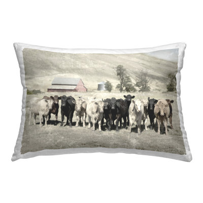 Varied Cattle on Farm Decorative Printed Throw Pillow Design by Rhonda Addison
