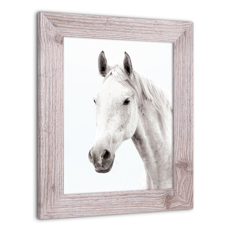 «White Horse», reproduction encadrée, H 14 po x l 11 po x P 0,75 po, Blanc