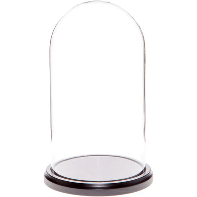 Cloche à dôme en verre 5,5 "x 10" Jenett