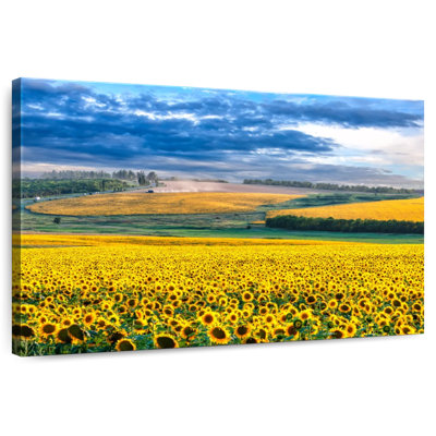 Alvord Sunset Sunflower Field