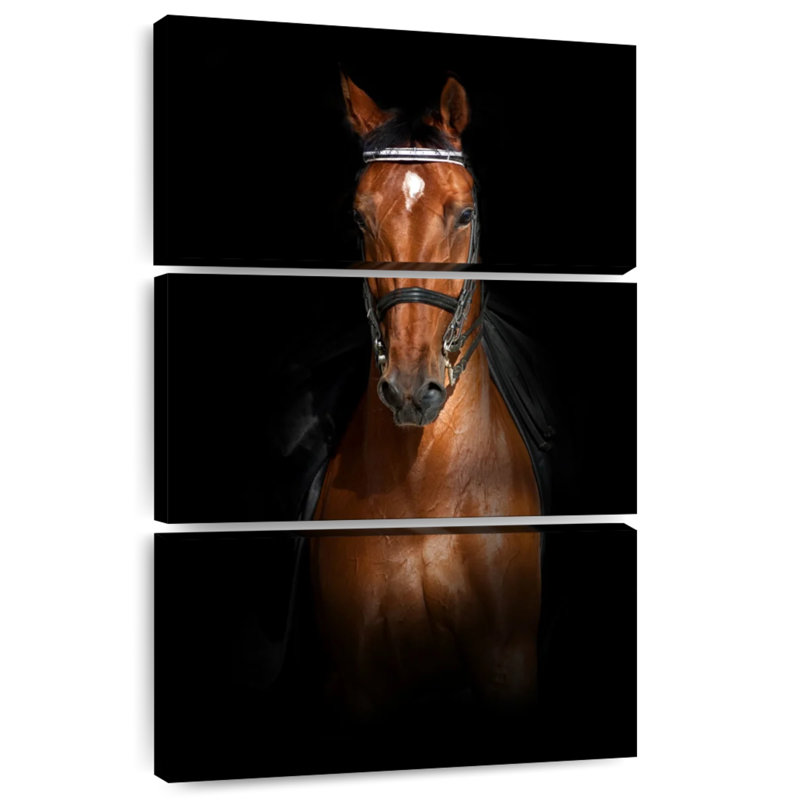 Brampt Brown Dressage Horse, 50" H x 32" W