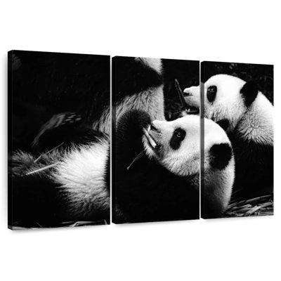 Panda de Brampt