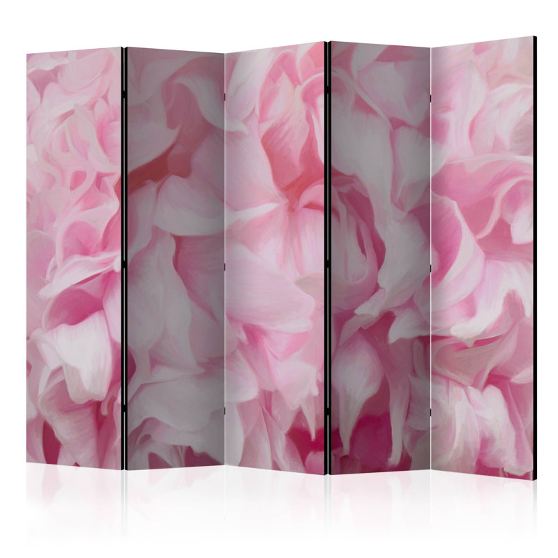 225 cm W x 172 cm H 5 - Panel Folding Room Divider