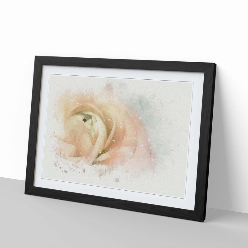 Pink Ranunculus Flower - Framed Print, Black, 60cm H x 91cm W x 2cm D