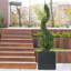 Planter Box-616968465-616968745