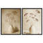 Ensemble de 2 reproductions d'art mural neutre dans un vase de fleurs séchées - photographie botanique minimaliste-119067923-119067925