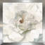 Pivoine neutre - peinture-1649405060-1649405066