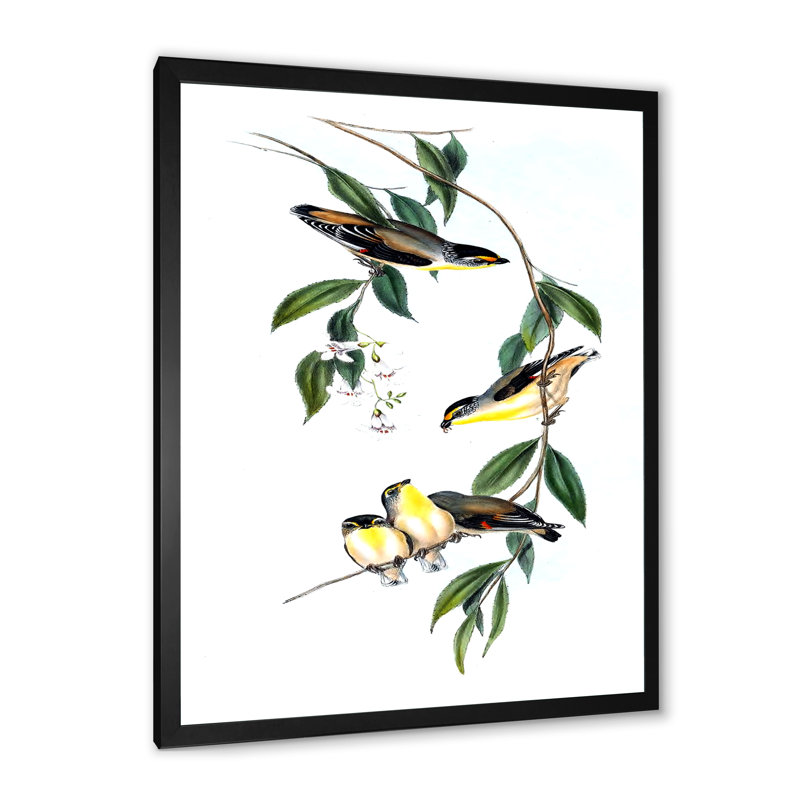 Oiseau rétro III - peinture sur toile, H 32 po x l 16 po x P 1 po, Cadre photo noir