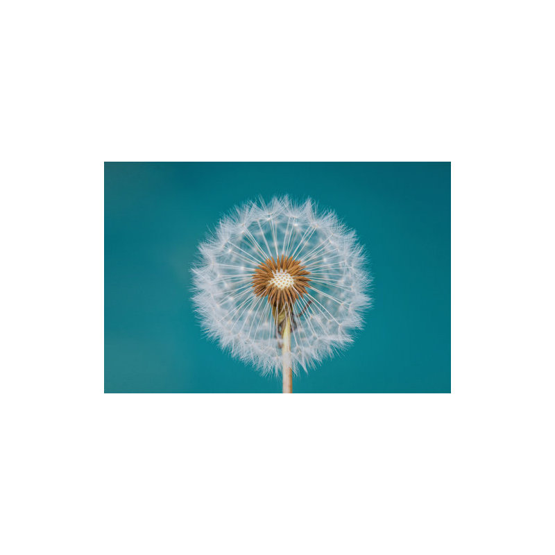 Wrapped Canvas Print, 50.8 cm H x 76.2 cm W