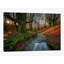 « magique forest », reproduction de photo sur toile-29171319-72806867-72806861