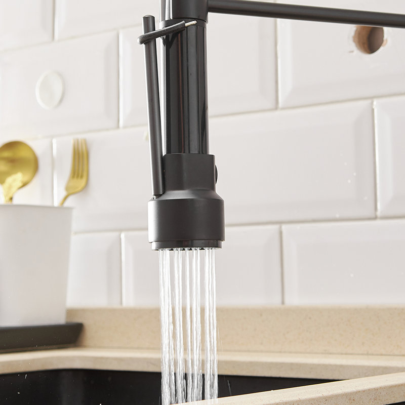 Robinet d'évier de cuisine à poignée simple avec douchette rétractable, matériau laiton, noir mat pour éviers, rotation à 360 degrés