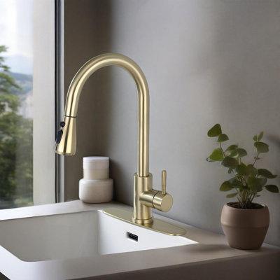 Kitchen Faucet With Pull Out Spraye