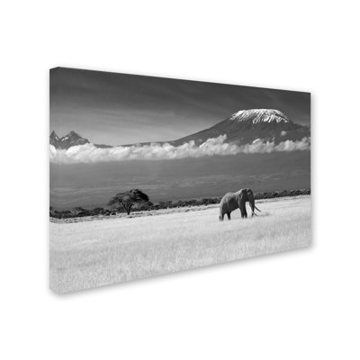 « lost colors ii », reproduction de photo sur toile tendue