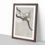 Plum Blossom & Full Moon by Ohara Koson - Framed Print-55601248-55601249