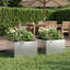 Planter-1696917690-1696917694