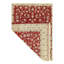 Oriental Area Rug in Peach