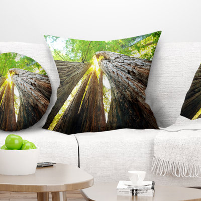 Sequoia Tree - Landscape Printed Pillow