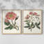 Impression florale rose de qualité supérieure - prête à accrocher - aucun clou requis - aucun clou requis-426101810-426101820