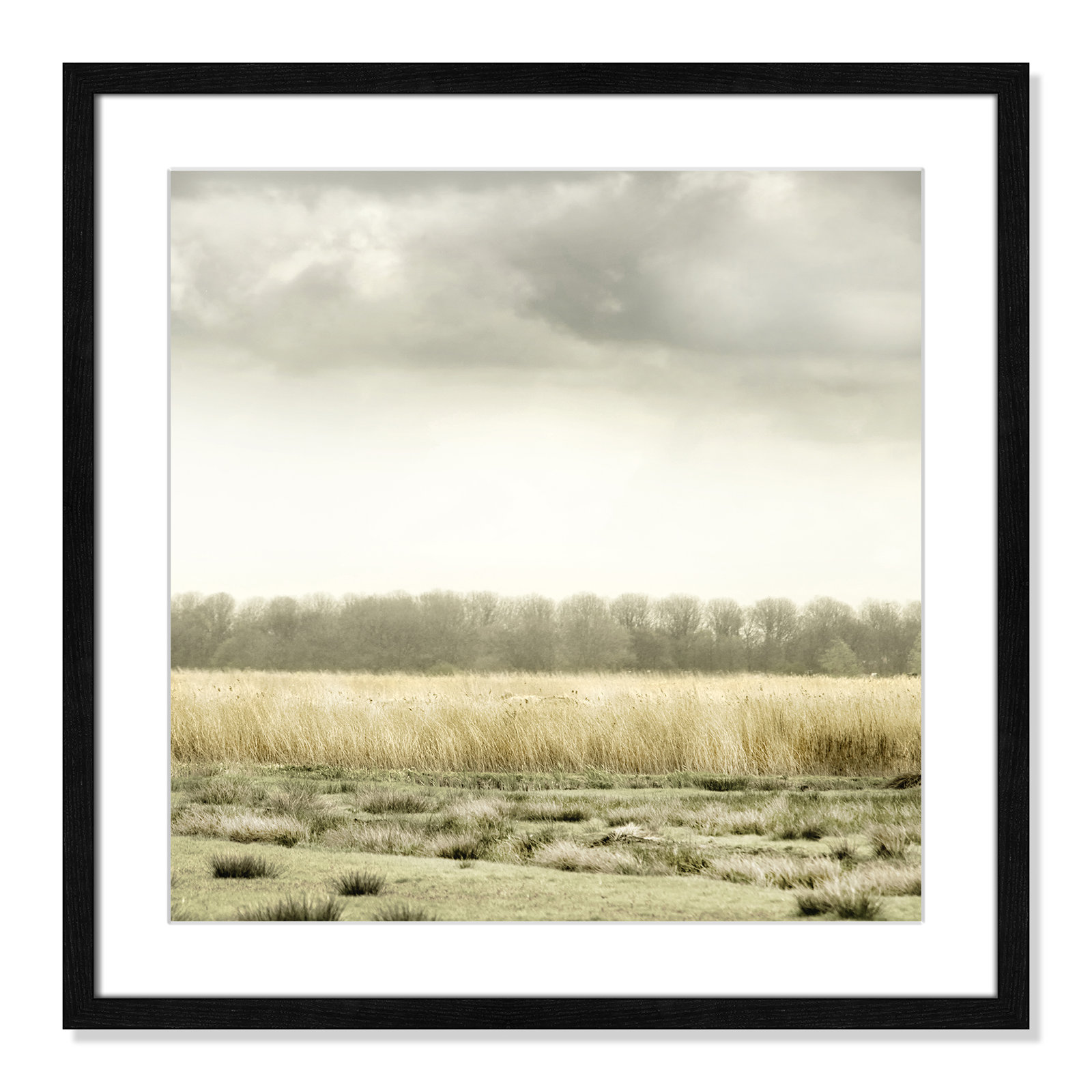 Henri "Meadowland" Print by Danita Delimont, 24.75" H x 24.75" W, Black Wood Grain