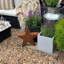 Planter Box-659363268-666577293