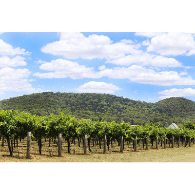 Vineyard in Mudgee 1 Piece Wrapped Canvas Wall Art