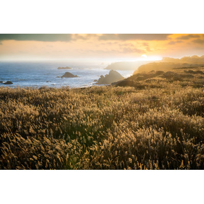 Coastal California by Bill Oxford