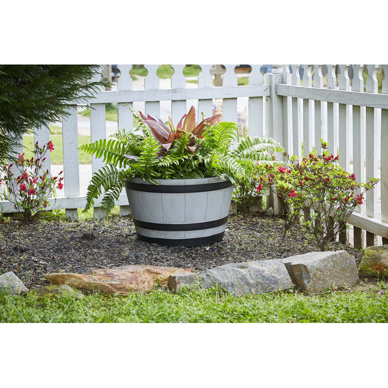 Pot de fleurs en résine Jibril, Bois de bouleau, H 13 po x l 22,2 po x P 22,2 po