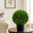 8.5 " H Faux Boxwood Topiary