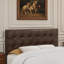 Lit double Radius, tête de lit seulement, cuir brun, transitionnel, H 47,37 po x l 56,74 po x P 2,84 po