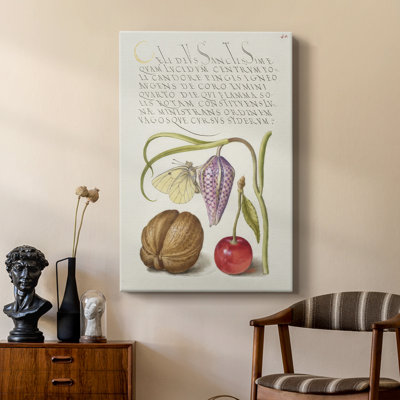 Hoefnagel Tropical Specimens IX -Custom Wrapped Gallery Cavas