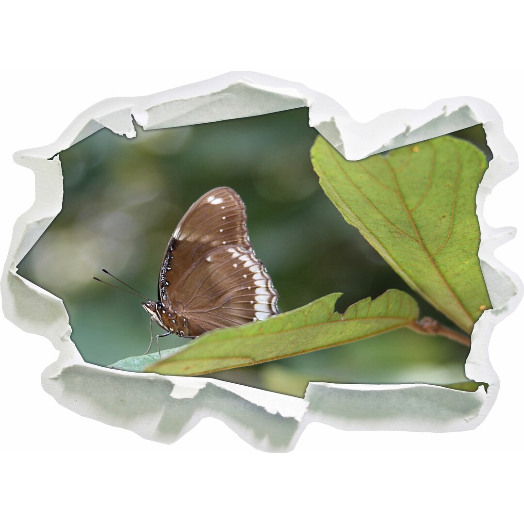 Kleiner, brauner Schmetterling Wandaufkleber