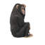 Statue de singe de jardin Chauncey le confus