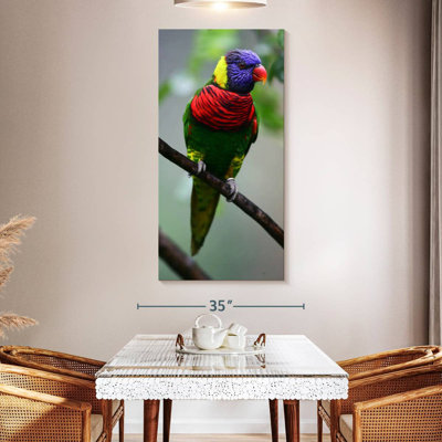 Radiant Rainbow Lorikeet