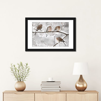 «Mourning Dove Group in Winter», Nouvelle-Écosse, Canada I par Scott Leslie - reproduction de photo