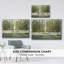 Forest Path encadré sur toile-94360473-94360470