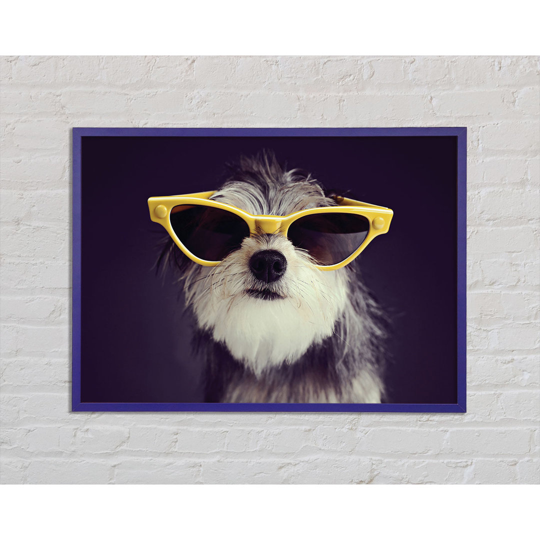 Sonnenbrille Hund Pooch Gerahmter Druck Wandkunst