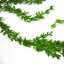 58 cm H Faux Foliage and Fern Plant