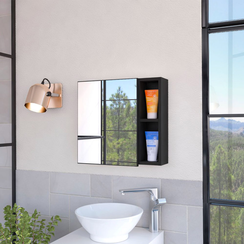 Armoire à pharmacie à 2 tablettes avec miroir wengé, Wengé