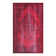 Oriental Indoor Rug