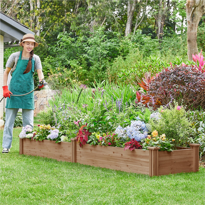 Wooden Raised Garden Bed, Dark Brown, 27cm H x 241.5cm W x 62.5cm D