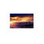 Impression sur toile 16 pi x 24 po mauve
