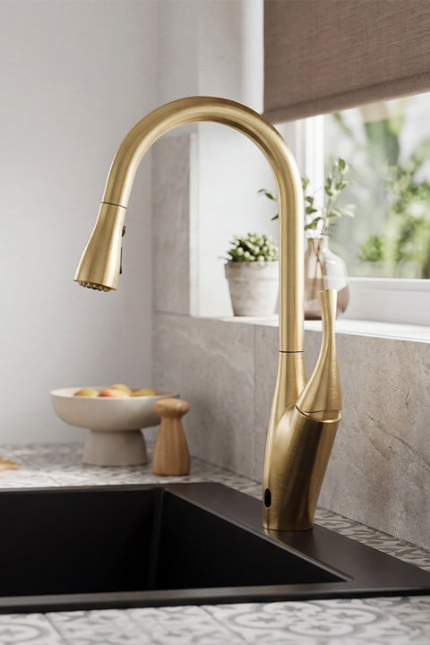 Shop Kitchen Faucet