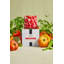 House & Home Fresh Scented Jar Candle