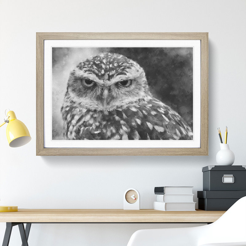 Little Owl - Picture Frame Graphic Art Print, 24cm H x 33cm W x 2cm D, Oak Framed